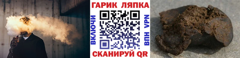 MEGA как войти  Светлогорск  Гашиш хэш 