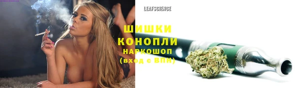 прущие крисы Михайловка