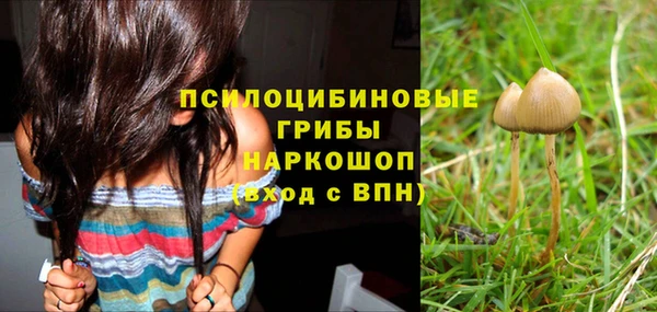 мет Аркадак