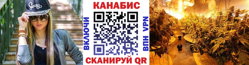 закладка блэк спрут ТОР Конопля OG Kush Светлогорск